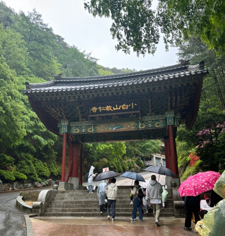 구강사유치원 이미지