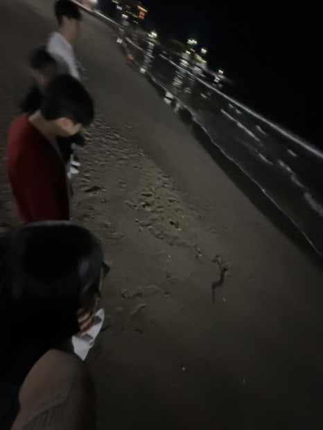 주야대게 이미지