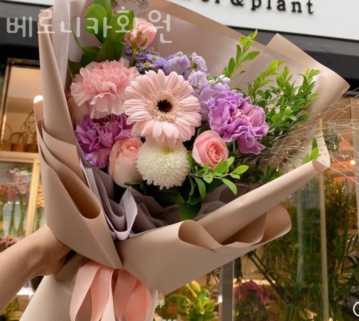 베로니카화원 이미지