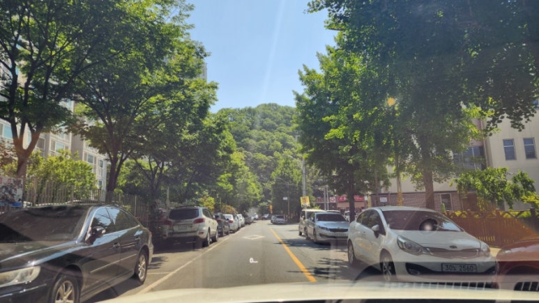 태성25 이미지