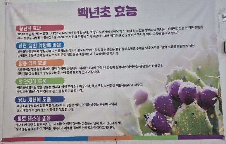 백년초바지락칼국수 이미지