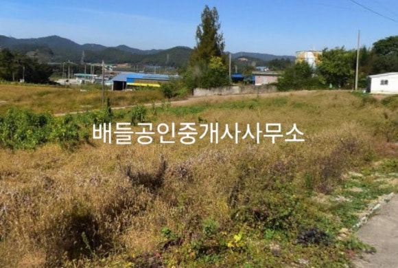 무안IC 이미지