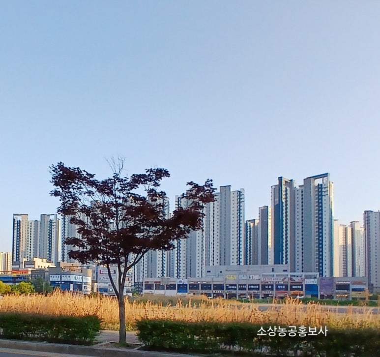 꿈동산몬테소리어린이집 이미지