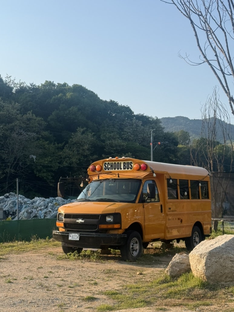 옐로우레빗츠 이미지