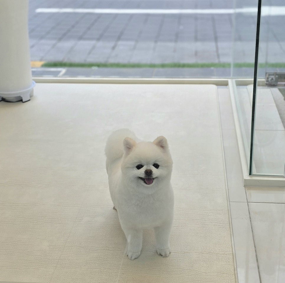 행복미용실 이미지