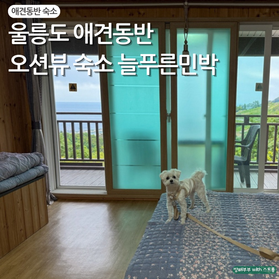 늘푸른민박 이미지