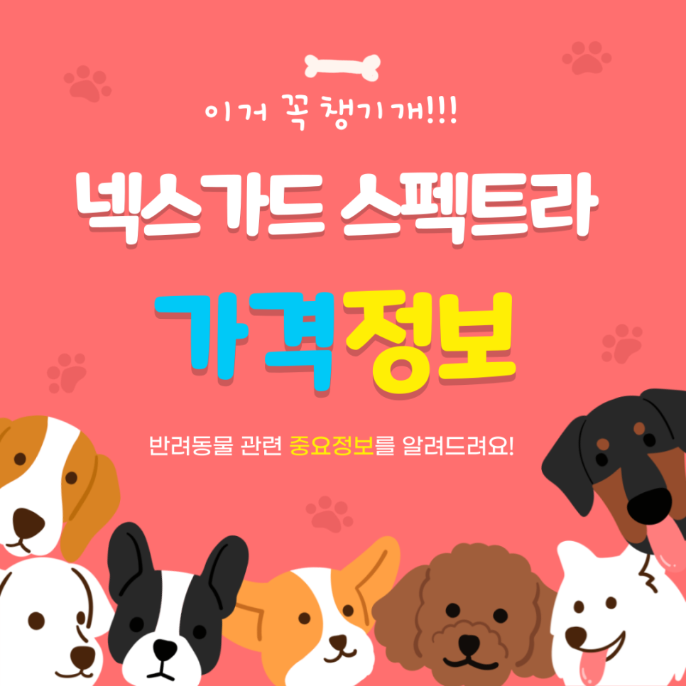 최저가구매 이미지