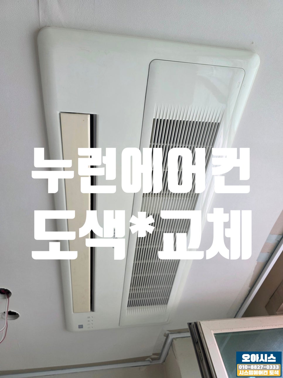 시티오아이스 이미지