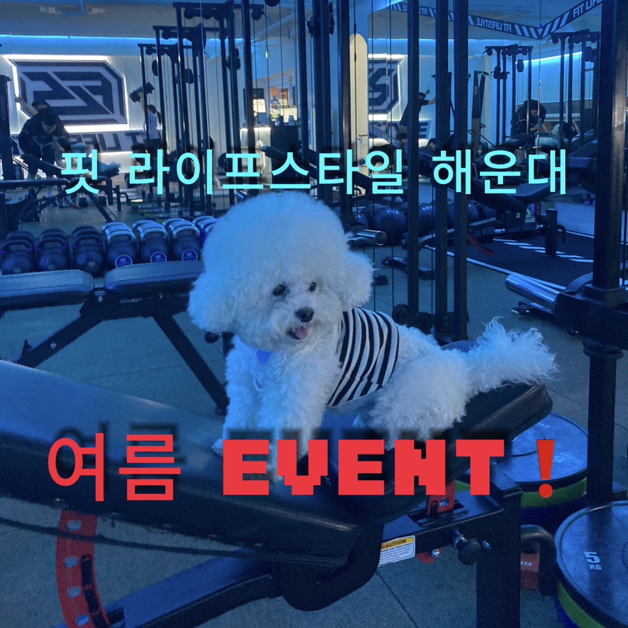 핏라이프스튜디오 이미지