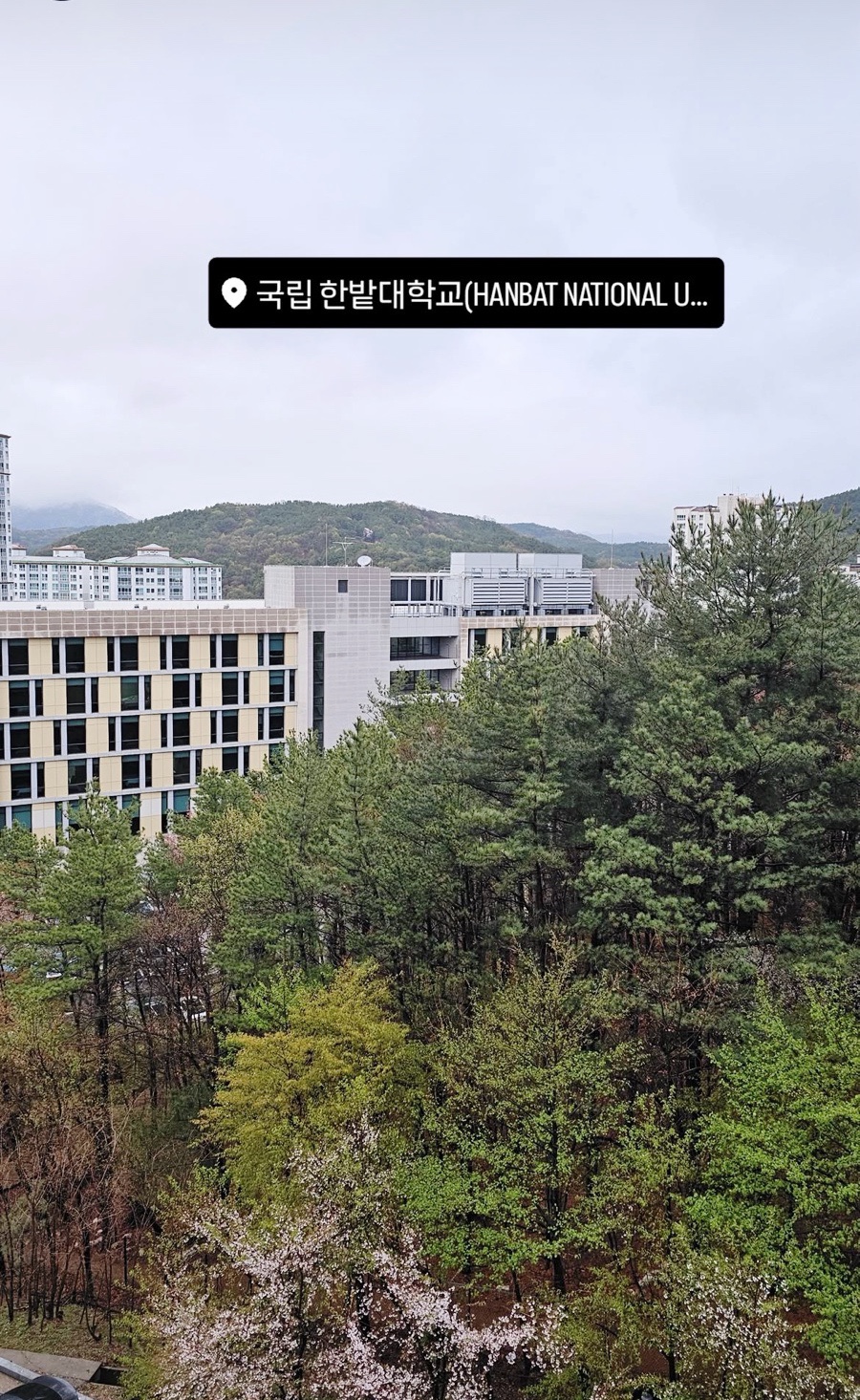 테라플라워 이미지