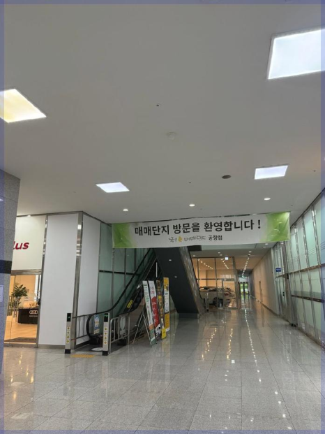 김포차 이미지