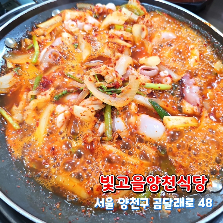 빛고을양천식당 이미지