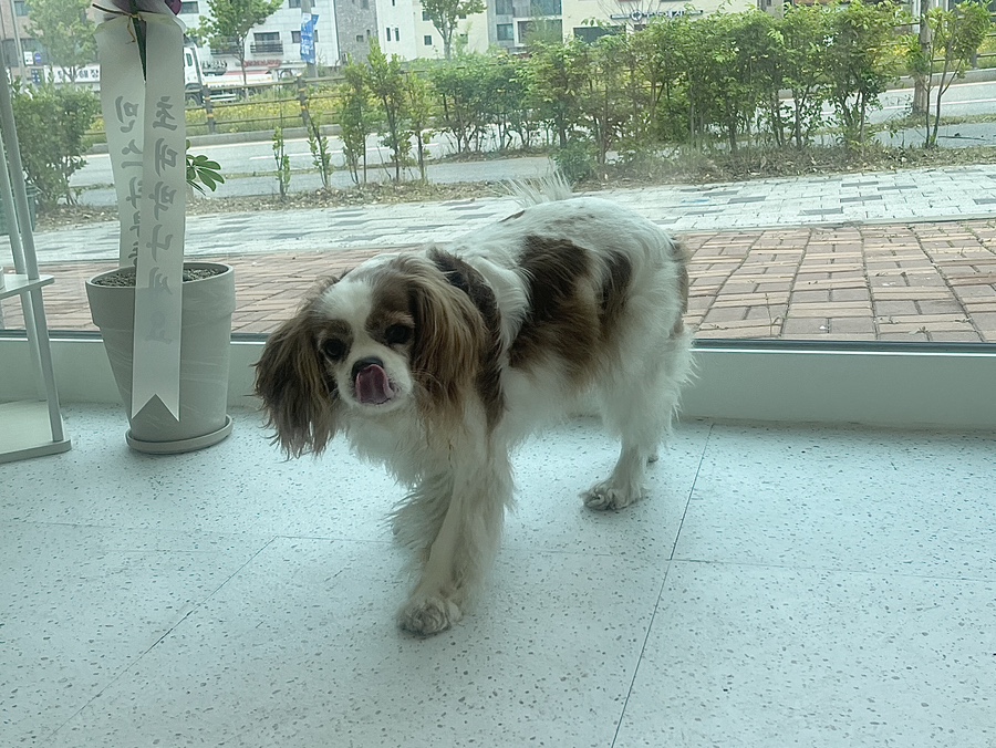 미용천하 이미지
