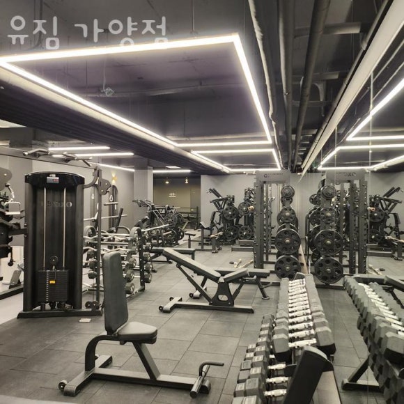유짐 이미지