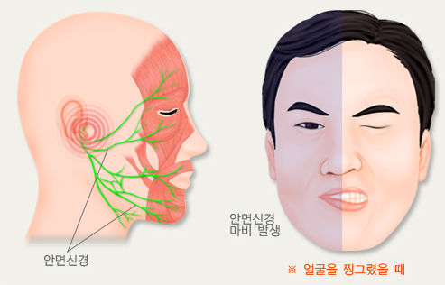 서현숲가정의학과의원 이미지