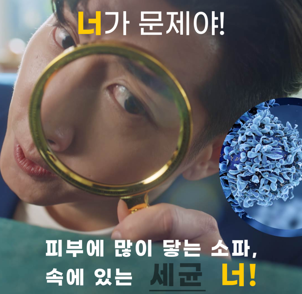 매트리스;소파;카페트새로클린경기광주점 이미지