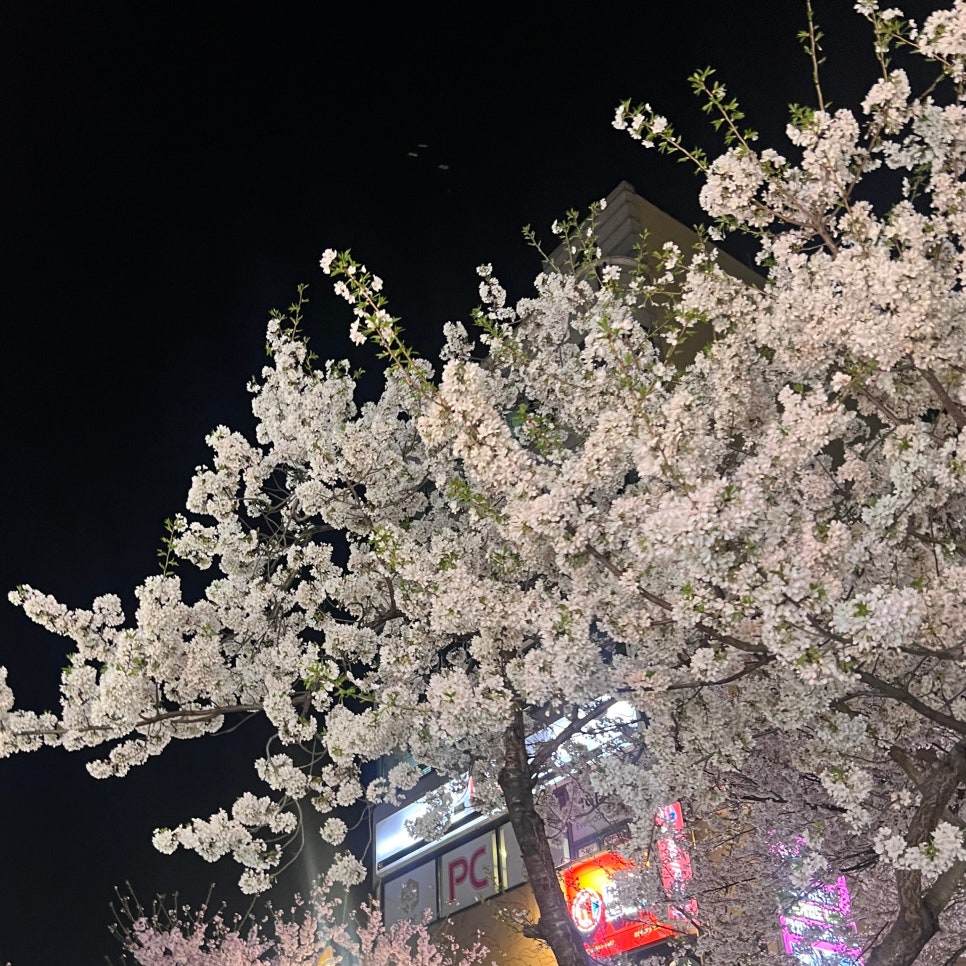 성신닭집 이미지