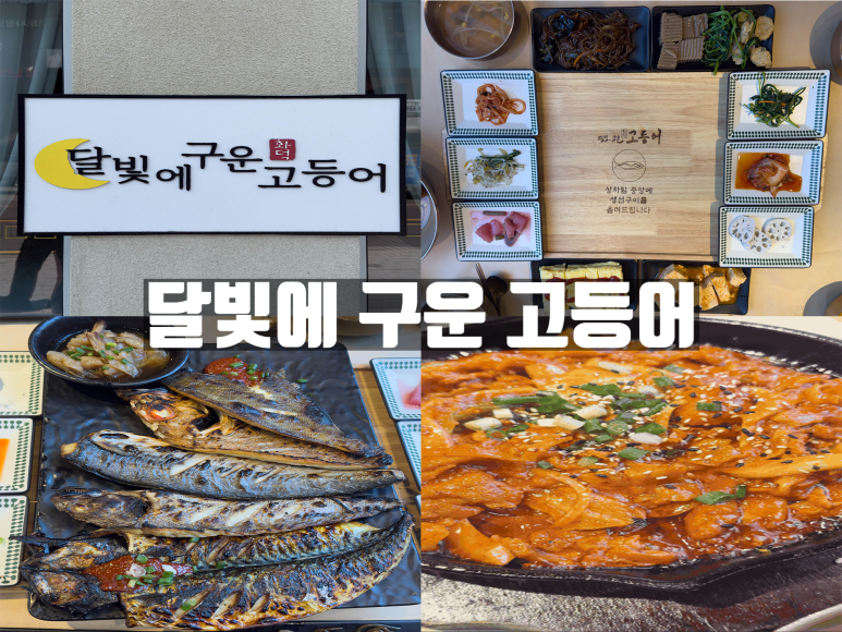 달빛에구운고등어세종대평점 이미지