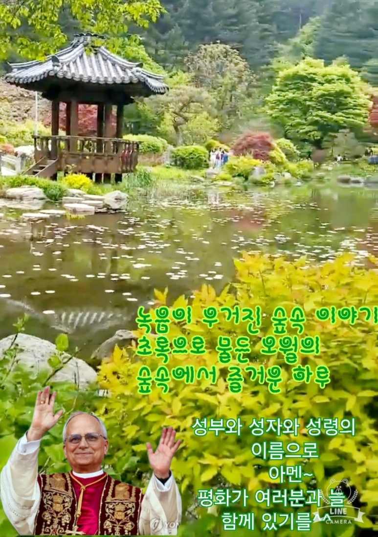오월의숲 이미지
