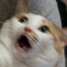 첫번째집 이미지