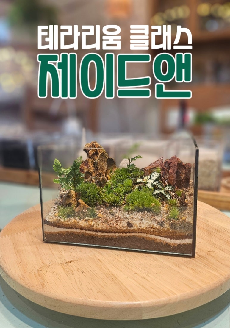 제이드공방 이미지