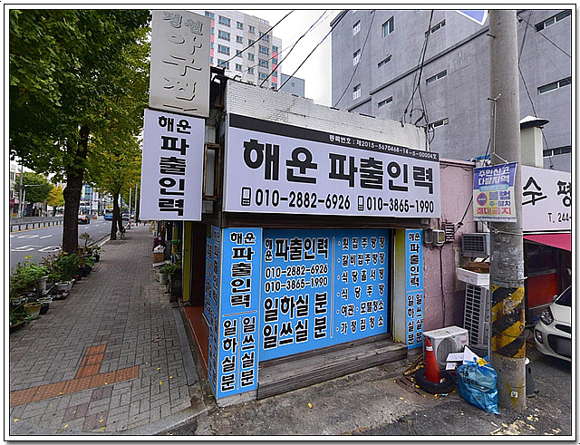 해운파출인력 이미지