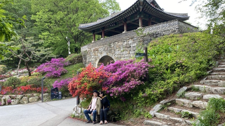 경성빵집 이미지