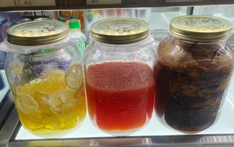 뉴포트 이미지