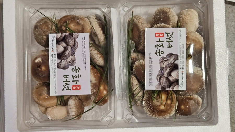 보성이마트 이미지
