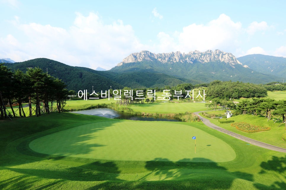 에스비엔지니어링 이미지