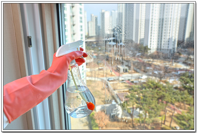 해운파출인력 이미지