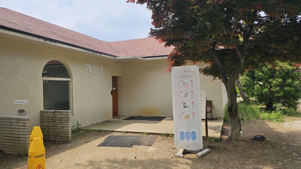 용인 테일45 애견카페, 프라이빗 운동장 교육 후기 — 사진 9