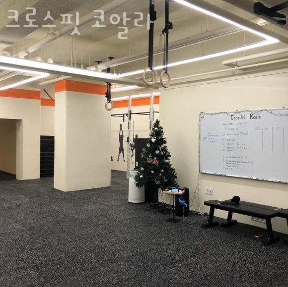 크로스핏코알라 이미지