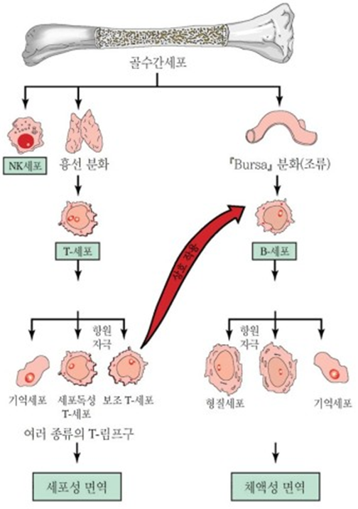 B&T통상 이미지