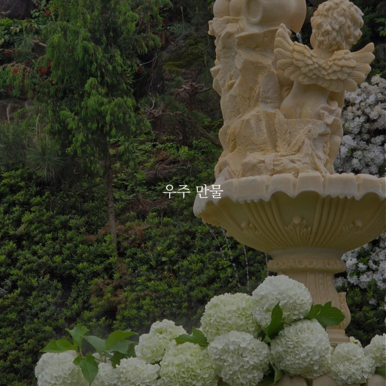 제법 이미지