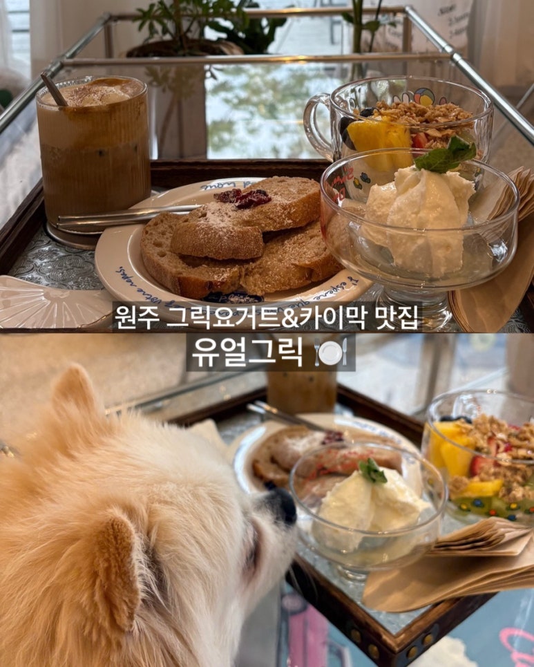 유얼그릭 이미지