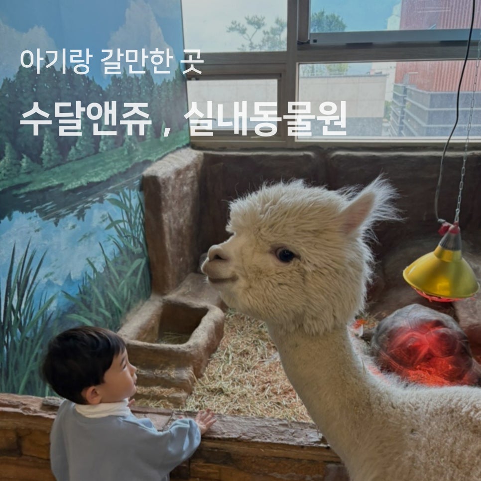 앤쥬 이미지