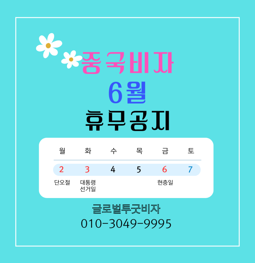 글로벌투굿비자 이미지