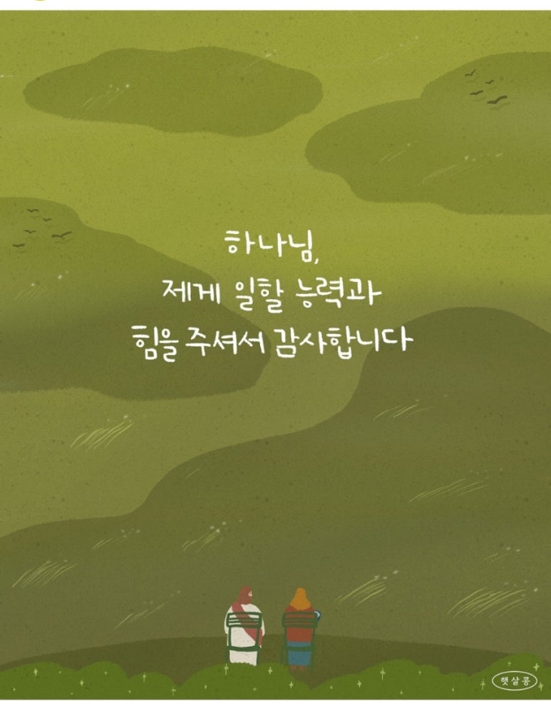 리브베 이미지