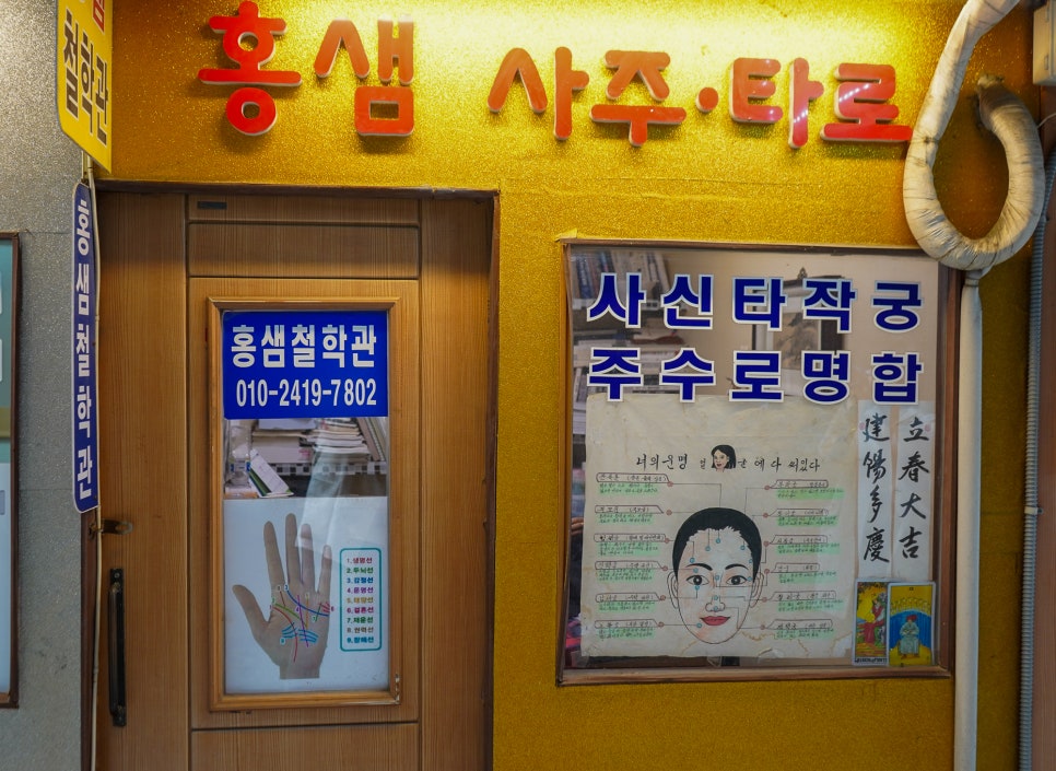 홍샘 이미지