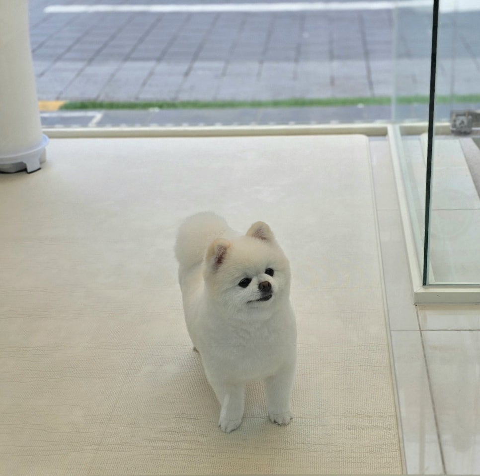 행복미용실 이미지