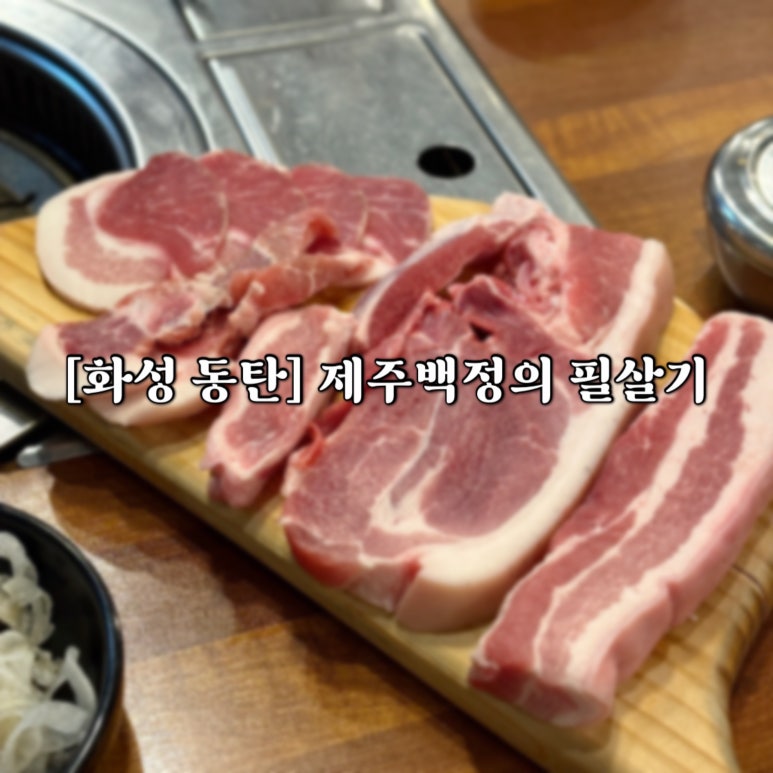 제주백정의필살기 이미지