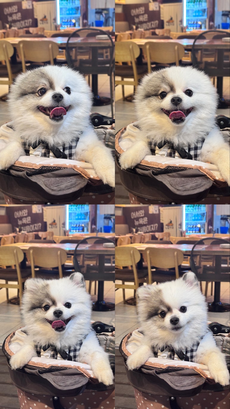 뉴욕야시장 무거굴화점 이미지