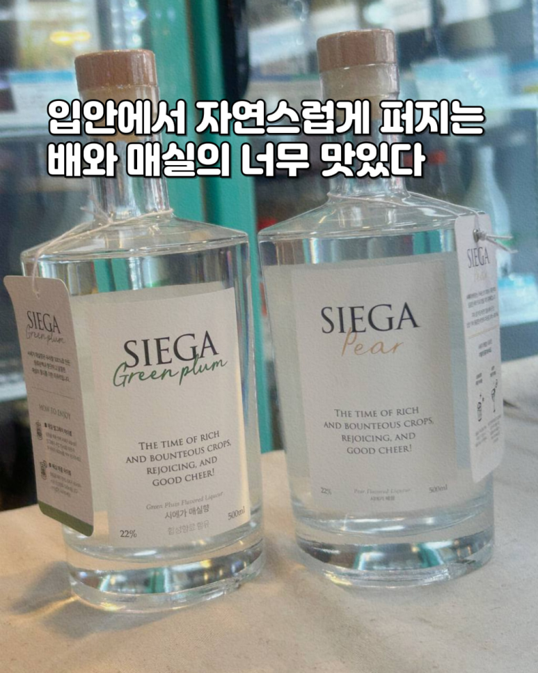 남천해변시장이유집 이미지