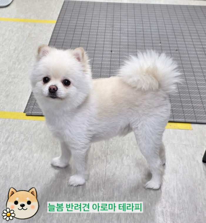 늘봄아로마테라피 이미지