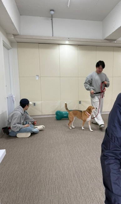 온컨택 이미지