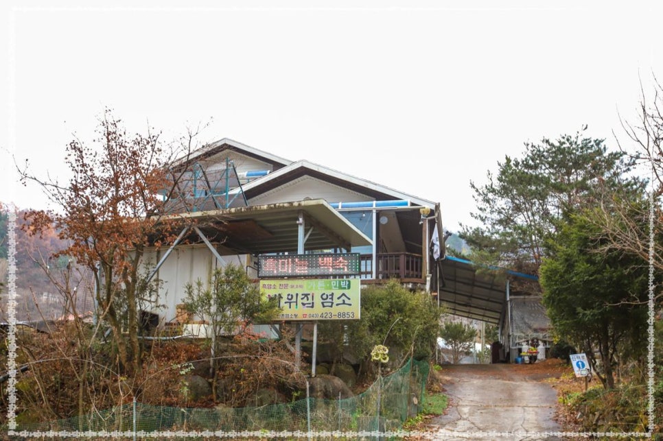 바위집염소 이미지