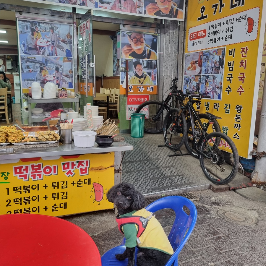 오가네분식 이미지