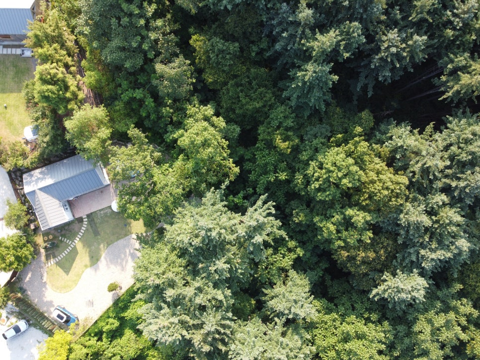 타이니포춘 이미지