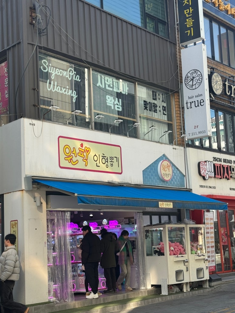 시연피아 이미지